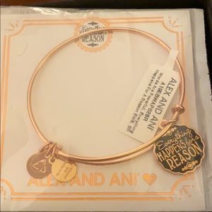 New Alex and Ani charm bracelet, rose gold finish